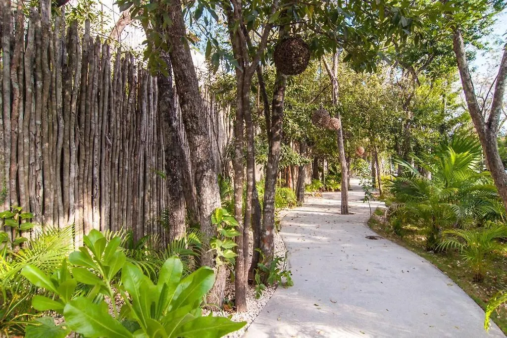 Spectacular Villa Gaia/Ph/Private Pool Tulum