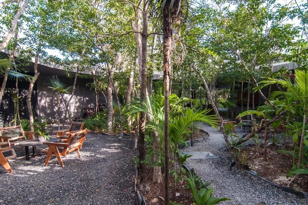 Spectacular Villa Gaia/Ph/Private Pool Tulum Apartment