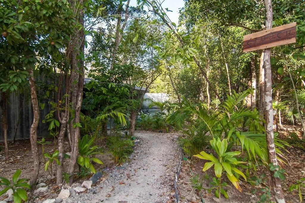 Spectacular Villa Gaia/Ph/Private Pool Tulum Mexico