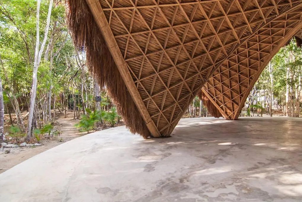 Spectacular Villa Gaia/Ph/Private Pool Tulum Apartment