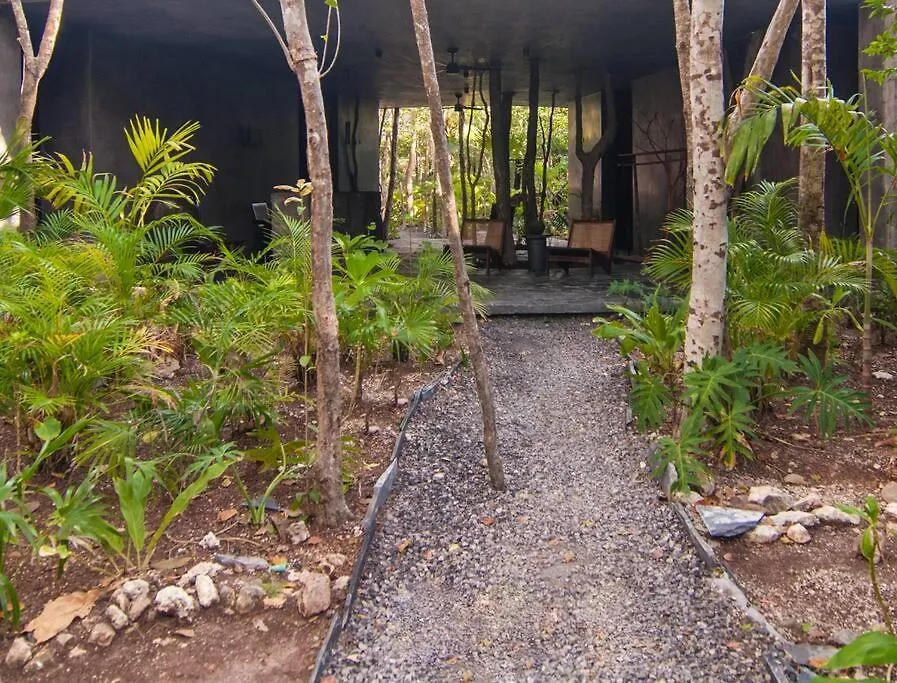 Spectacular Villa Gaia/Ph/Private Pool Tulum Mexico